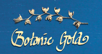 Flower Press -all seasons card range : BOTANIC GOLD RANGE