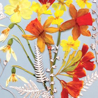 Flower Press -all seasons card range : FP 35  Spring Bouquet