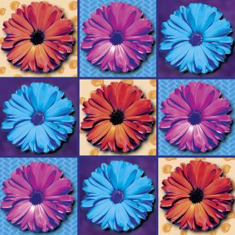 Flower Press -all seasons card range : POP 12