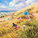 British Butterflies - New ! card range : BB 16  ADONIS BLUE