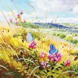 British Butterflies - New ! card range : NEW! BB23 LARGE BLUES 