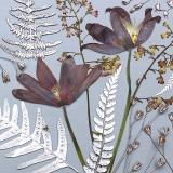Flower Press -all seasons card range : FP 30  Pasque Flower
