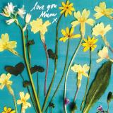 Flower Press -all seasons card range : FP48M Mothers Day 
